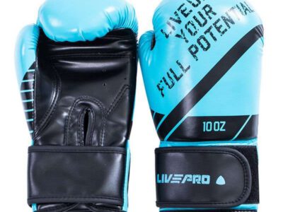 Boxing Gloves 10 oz LivePro